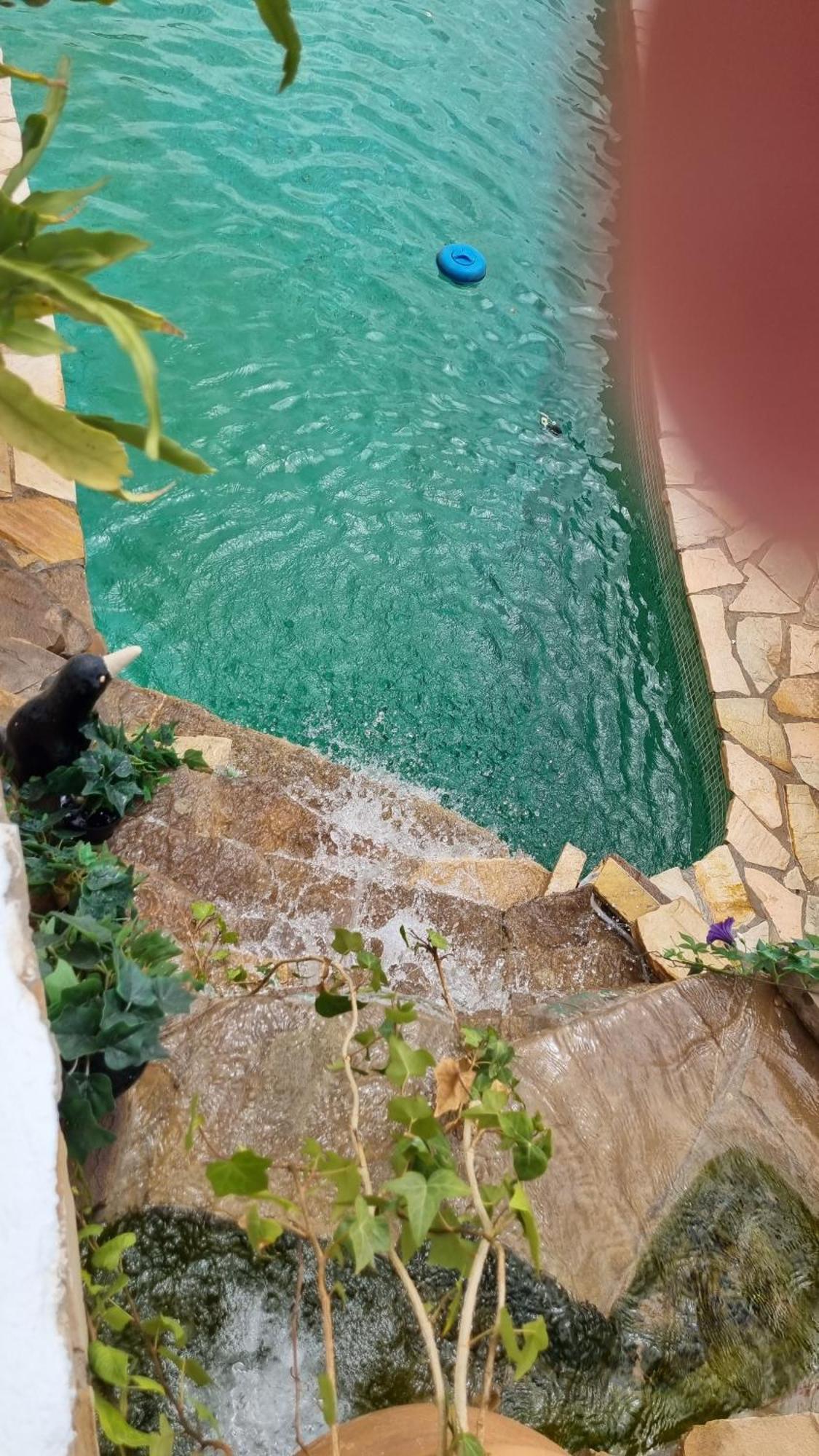 La Buena Vida. Lägenhet Málaga Exteriör bild